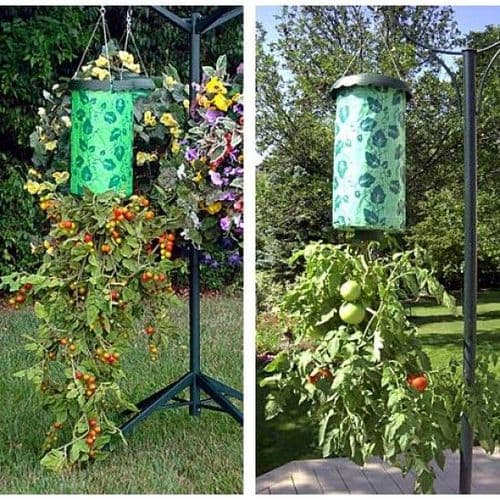 Toppling Tomato Planter
