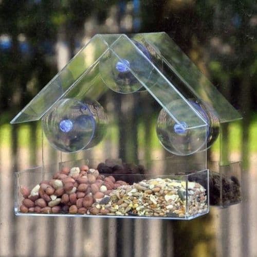 Window Bird Feeder