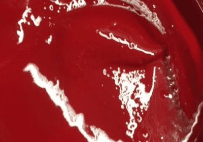 Pillarbox Red Waterbased Ink