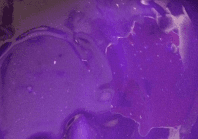 Violet Waterbased Ink