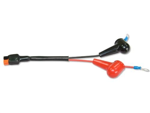 Torberry Battery Leads