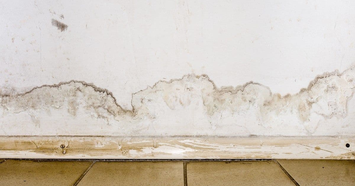 How Winter Moisture Can Creep Into Basement Walls
