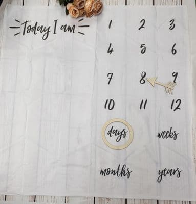 Baby Milestone Blanket