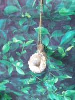 Birds Sitting with a Scarf or Wreath Tree Decoration