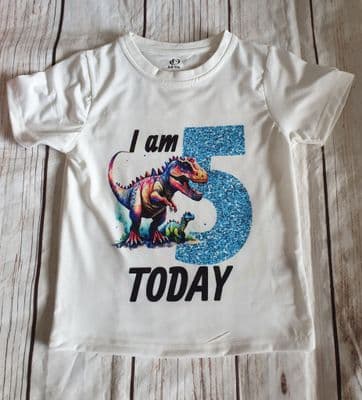 Birthday Dinosaur T-Shirt, Keepsake Birthday Gift, Age T-Shirt, Personalised Slogan Tshirt