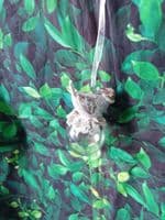 Cute Resin Birds in Hats sitting on a Iridescent Christmas Bauble Tree Decoration