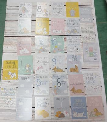 Disney Baby Milestone Cards