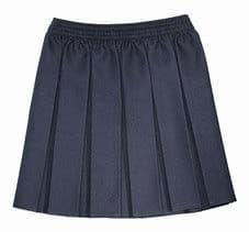 Girls Navy Blue Box Pleat Deanes School Uniform Skirt
