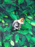 Mini Hedgehogs Holding a Mushroom Assorted