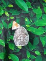 Mini Hedgehogs Holding a Mushroom Assorted