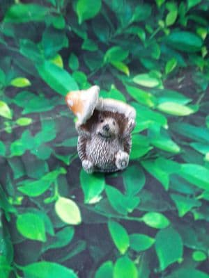 Mini Hedgehogs Holding a Mushroom Assorted