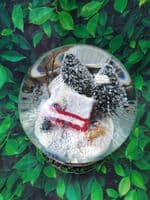 Musical Snow Globe with Red House Scene