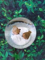 Robin Musical Christmas Snow Globe