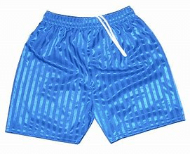 Royal Blue Shaddow Stripe Shorts School Uniform