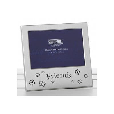 Satin Silver Friends Occasion Frame Gift