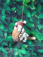 Sweet Festive Robin Christmas Tree Decoration Ornament Assorted