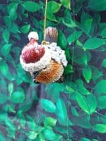 Sweet Festive Robin Christmas Tree Decoration Ornament Assorted