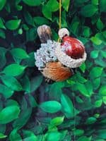 Sweet Festive Robin Christmas Tree Decoration Ornament Assorted