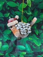 Sweet Festive Robin Christmas Tree Decoration Ornament Assorted