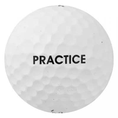 Titleist Pro V1x - Practice
