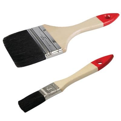 Disposable Paint Brush