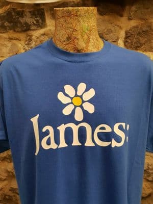 James the band Tim Booth Daisy Royal Blue T shirt 1990s design classic