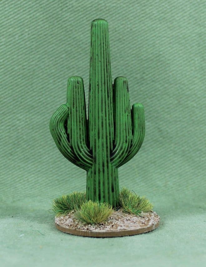CACTUS