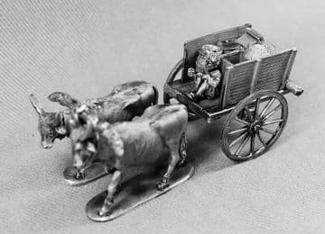 DS1 Vietnamese cart and driver