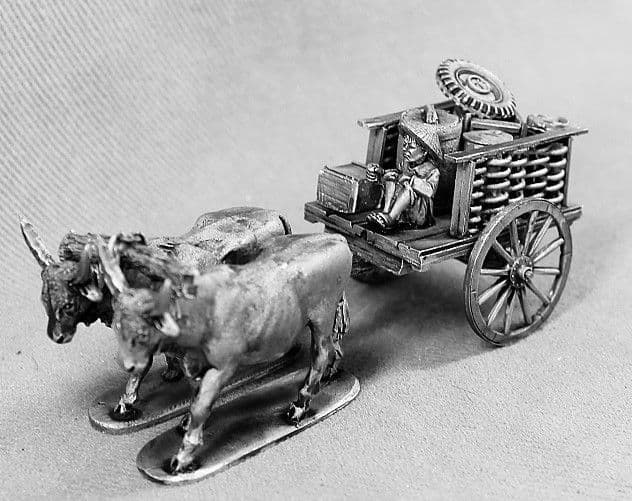 DS2 Vietnamese cart and driver