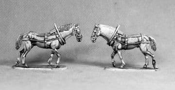 ECW109 Spare draft horses.