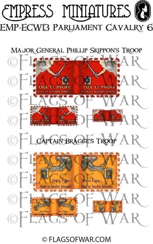 ECW13 FLAG SKIPPON & BRAGGES TROOPS