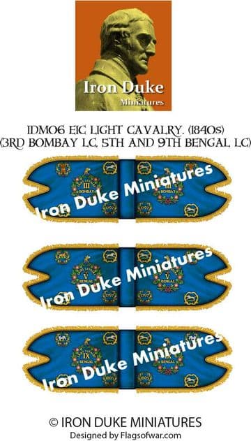 IDM06 EIC Lt Cav Flags.