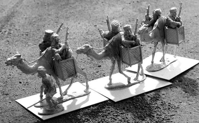 IMBC39 Camel Transport