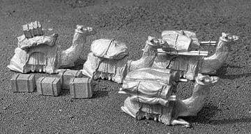 LA13 SITTING CAMELS, no baggage