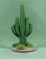 Miscellaneous Room with special figures .