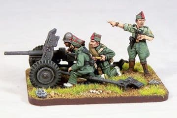 NAT1 PAK 36 with crew.