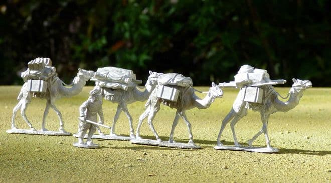THEM10 Camel transport on the march