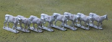 THEM28 AFRICAN CATTLE.