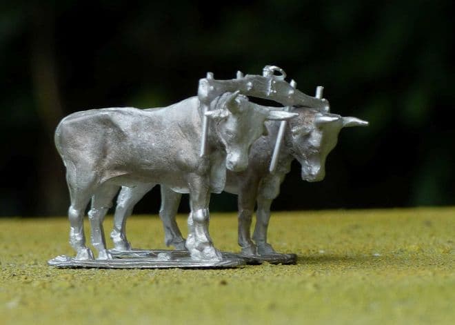 THEM31 Pair of standing oxen with yoke.