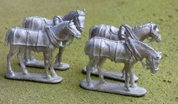 THEM7 Draught Horses, in harness