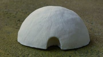 WKF7 XHOSA RESIN HUT.