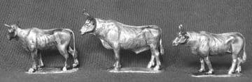 ZWA9 NGUNI CATTLE