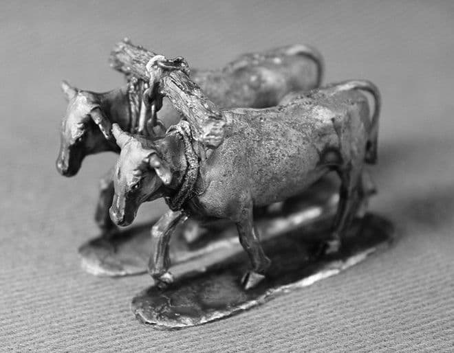 ZWB80 Pair of draft oxen