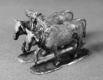 ZWB80 Spare oxon team.