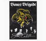 POWELL PERALTA / BONES BRIGADE  Series 15 Lapel Pin Badge "Caballero - Dragon" Skateboard