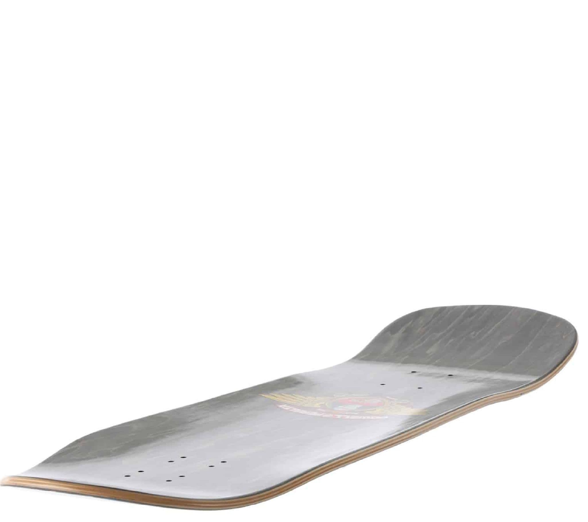 80s〜90s \"Powell Peralta\" L/S POWELL PERALTA Reissue Blacklight Hawk 10.38