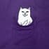 RIPNDIP 
