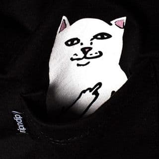 Cat Flipping Rip Cat Shirt Buy Middle Finger Cat Shirt Online In