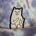 RIPNDIP 