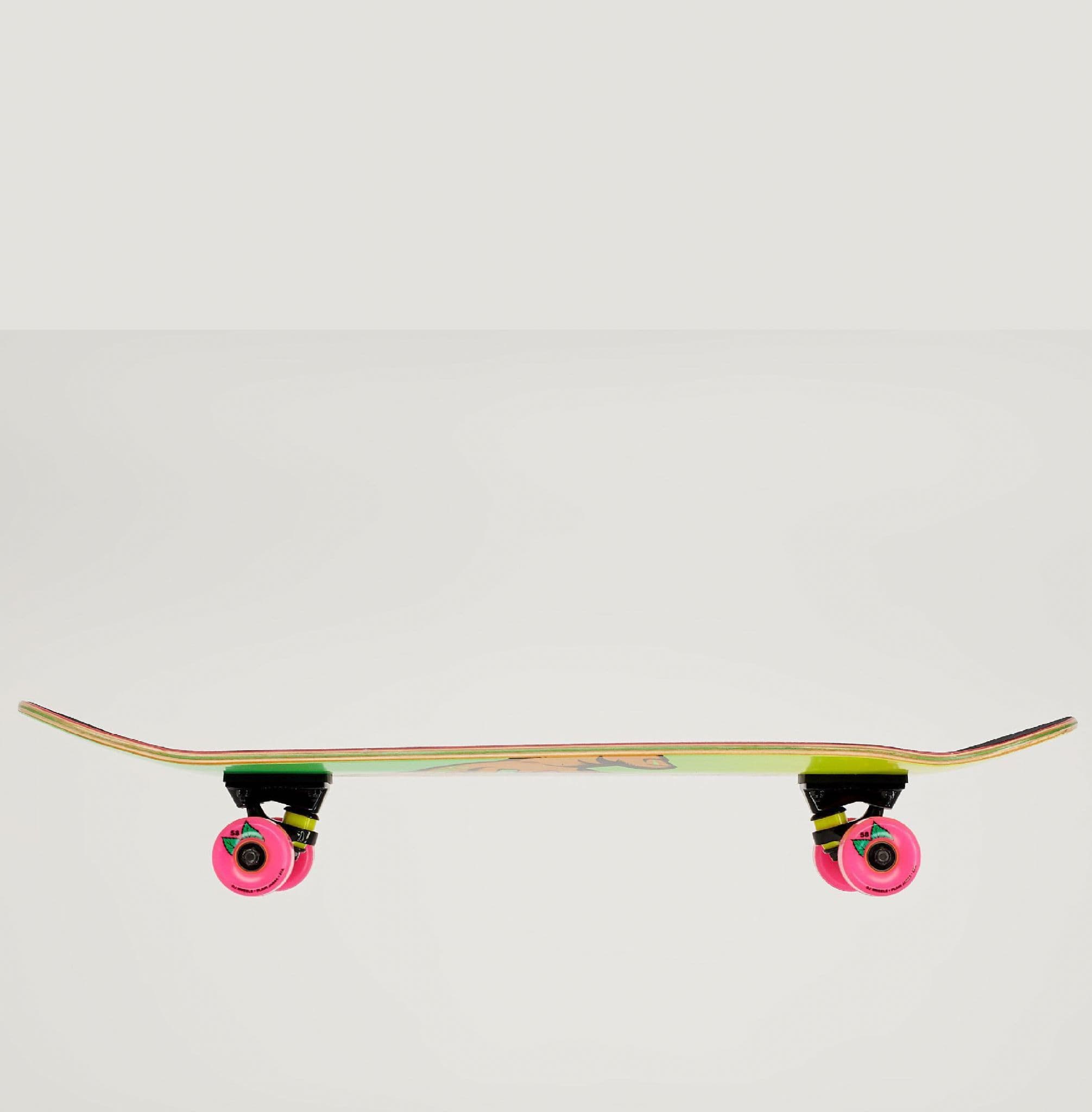 SANTA CRUZ 